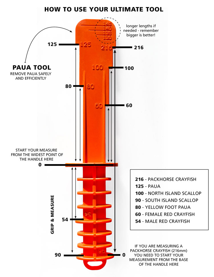 ULTIMATE TOOL INSTRUCTIONS